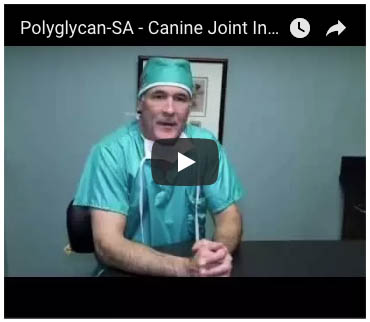 polyglycan-sa and Companion Animal: Joint Injection Techniques